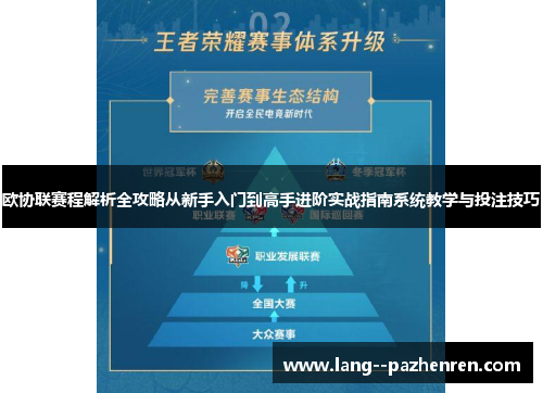 欧协联赛程解析全攻略从新手入门到高手进阶实战指南系统教学与投注技巧